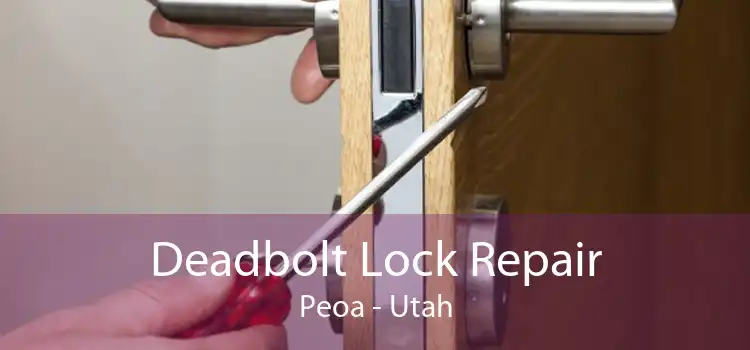 Deadbolt Lock Repair Peoa - Utah