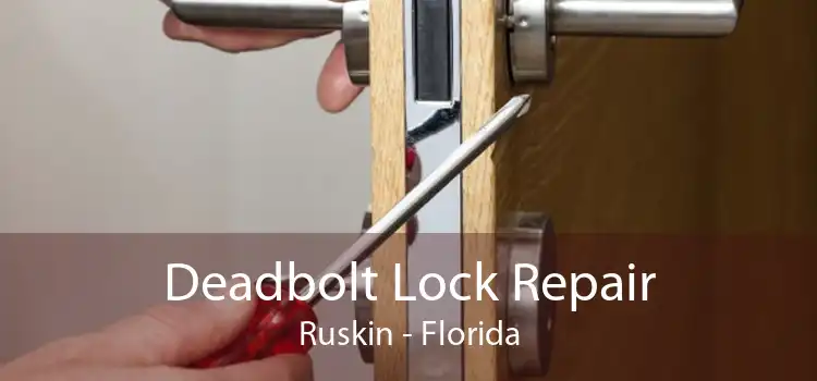 Deadbolt Lock Repair Ruskin - Florida