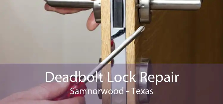 Deadbolt Lock Repair Samnorwood - Texas