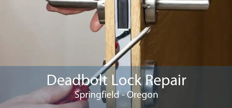 Deadbolt Lock Repair Springfield - Oregon