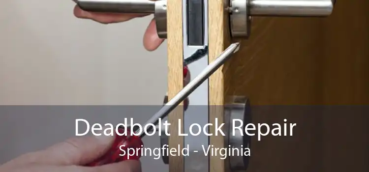 Deadbolt Lock Repair Springfield - Virginia