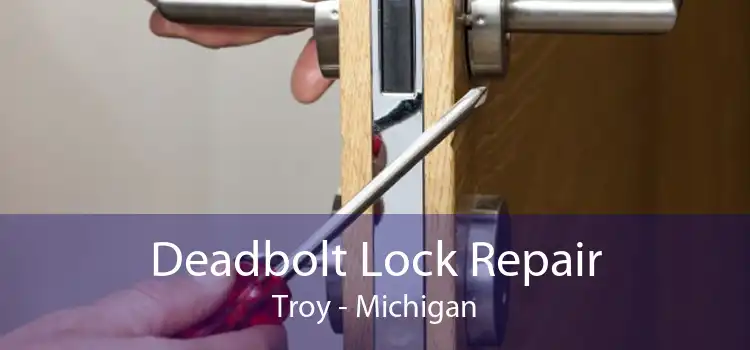 Deadbolt Lock Repair Troy - Michigan