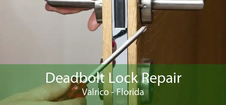 Deadbolt Lock Repair Valrico - Florida