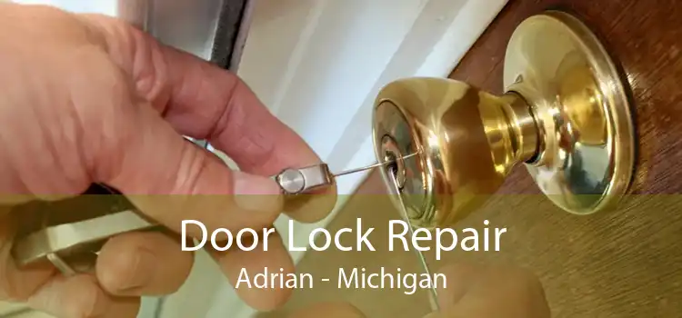 Door Lock Repair Adrian - Michigan