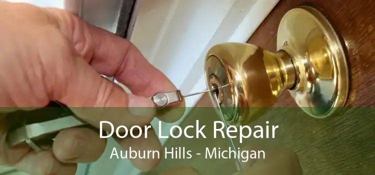 Door Lock Repair Auburn Hills - Michigan