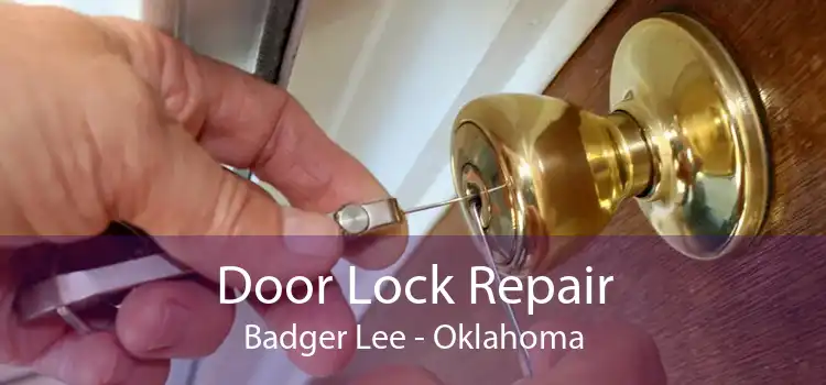 Door Lock Repair Badger Lee - Oklahoma