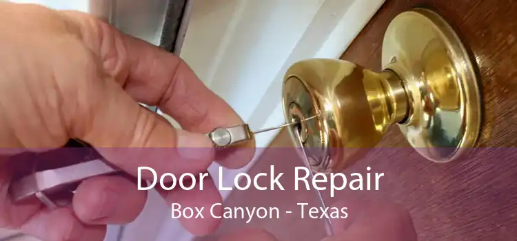 Door Lock Repair Box Canyon - Texas