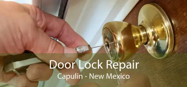 Door Lock Repair Capulin - New Mexico