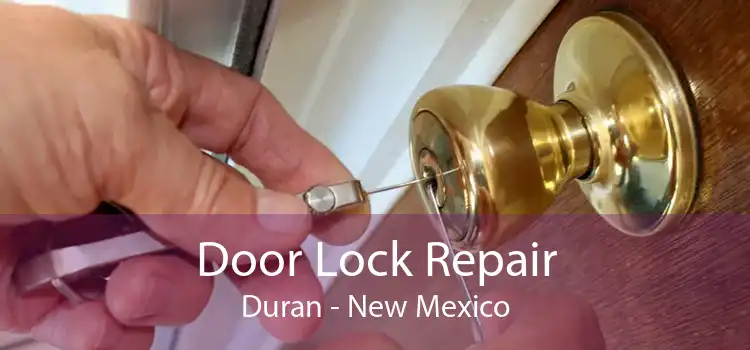 Door Lock Repair Duran - New Mexico