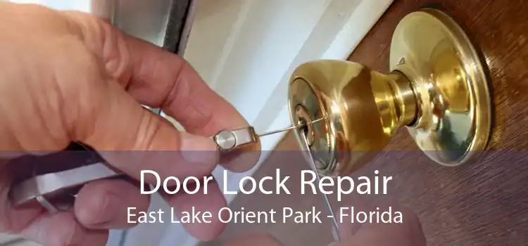 Door Lock Repair East Lake Orient Park - Florida