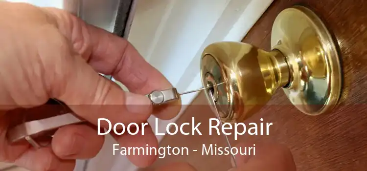 Door Lock Repair Farmington - Missouri