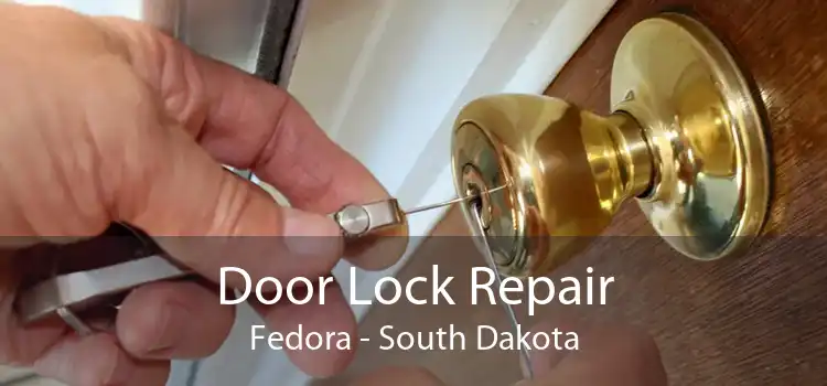 Door Lock Repair Fedora - South Dakota