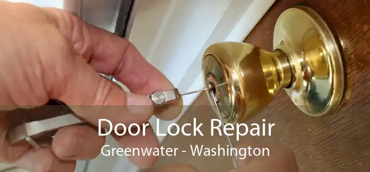 Door Lock Repair Greenwater - Washington