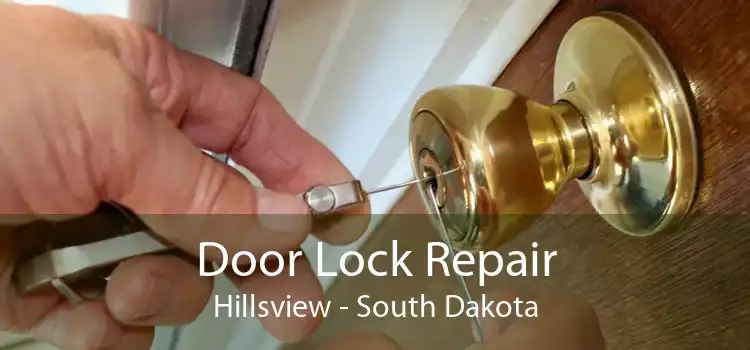 Door Lock Repair Hillsview - South Dakota