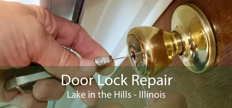 Door Lock Repair Lake in the Hills - Illinois