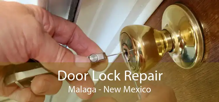 Door Lock Repair Malaga - New Mexico