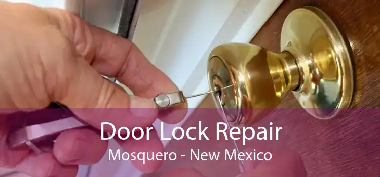 Door Lock Repair Mosquero - New Mexico