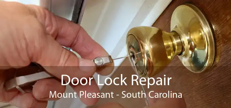 Door Lock Repair Mount Pleasant - South Carolina