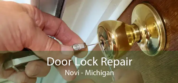 Door Lock Repair Novi - Michigan