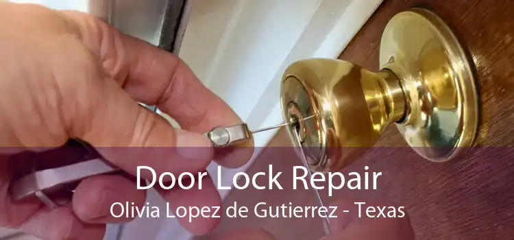Door Lock Repair Olivia Lopez de Gutierrez - Texas