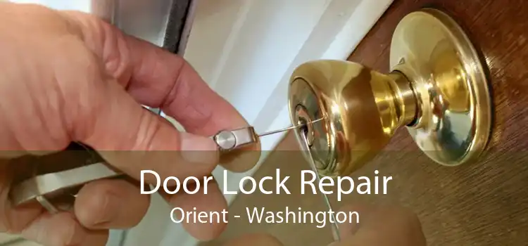 Door Lock Repair Orient - Washington