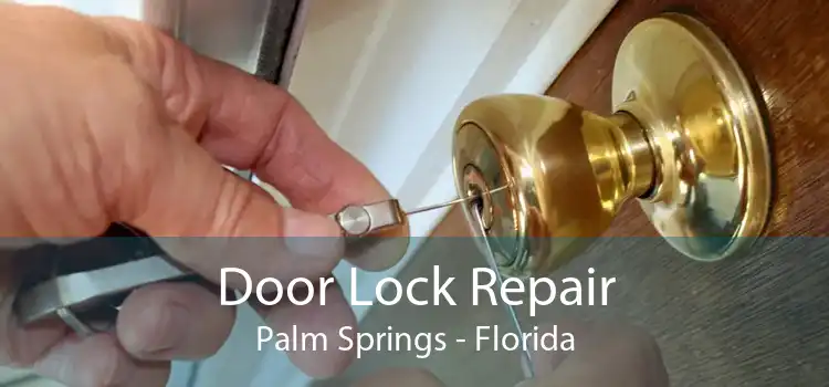 Door Lock Repair Palm Springs - Florida