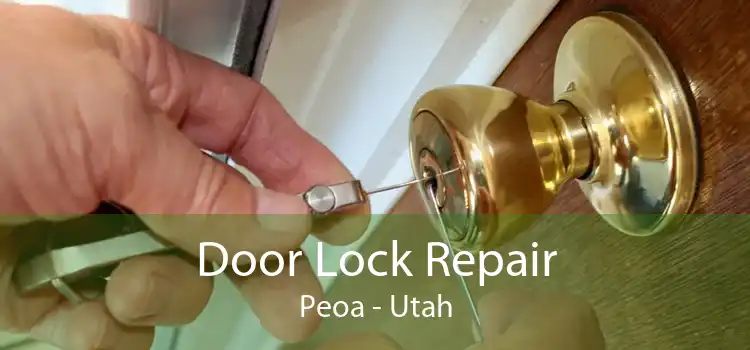 Door Lock Repair Peoa - Utah
