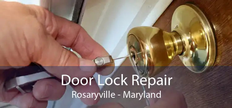 Door Lock Repair Rosaryville - Maryland