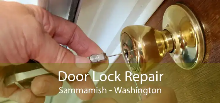 Door Lock Repair Sammamish - Washington