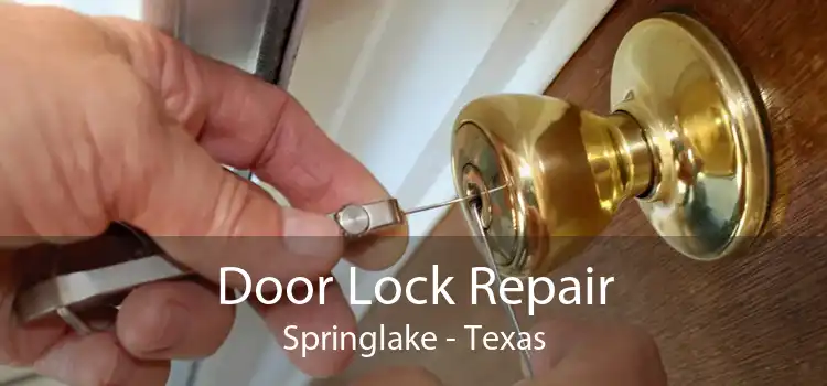 Door Lock Repair Springlake - Texas
