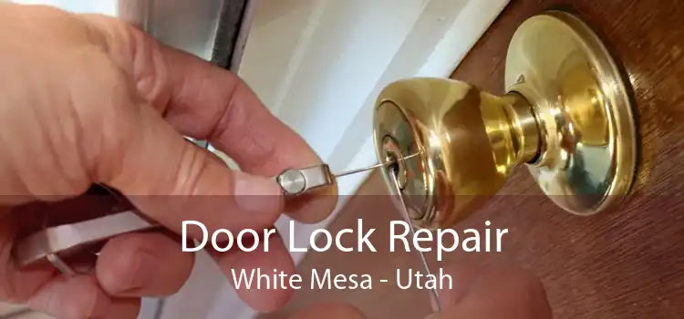 Door Lock Repair White Mesa - Utah