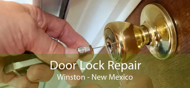 Door Lock Repair Winston - New Mexico