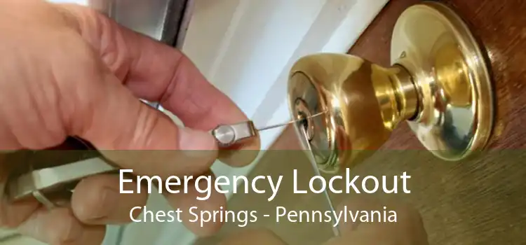 Emergency Lockout Chest Springs - Pennsylvania