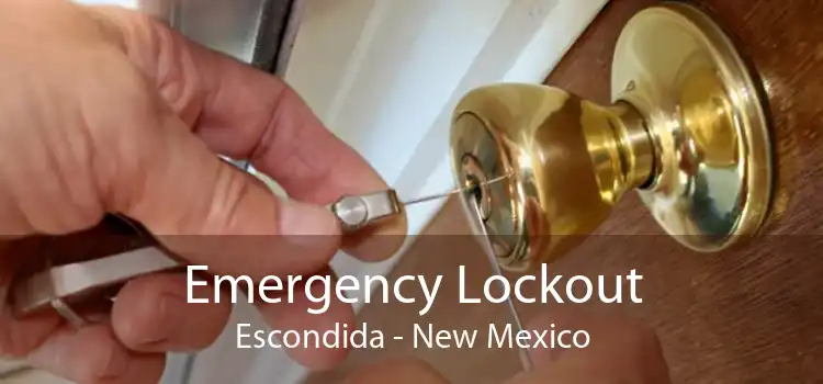 Emergency Lockout Escondida - New Mexico
