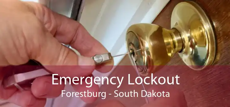 Emergency Lockout Forestburg - South Dakota