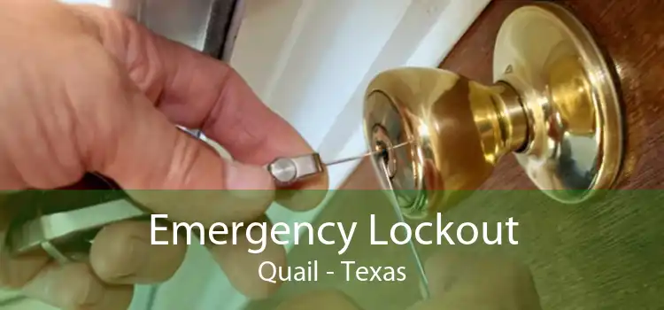Emergency Lockout Quail - Texas