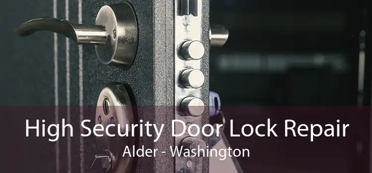 High Security Door Lock Repair Alder - Washington