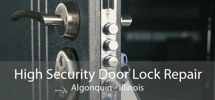 High Security Door Lock Repair Algonquin - Illinois