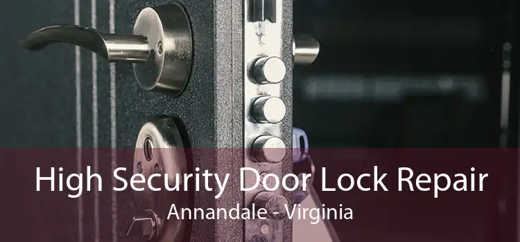 High Security Door Lock Repair Annandale - Virginia