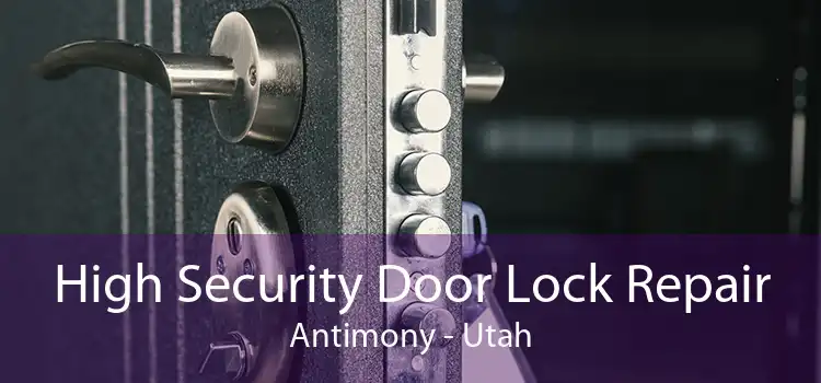 High Security Door Lock Repair Antimony - Utah