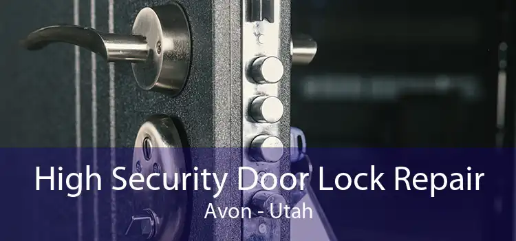 High Security Door Lock Repair Avon - Utah