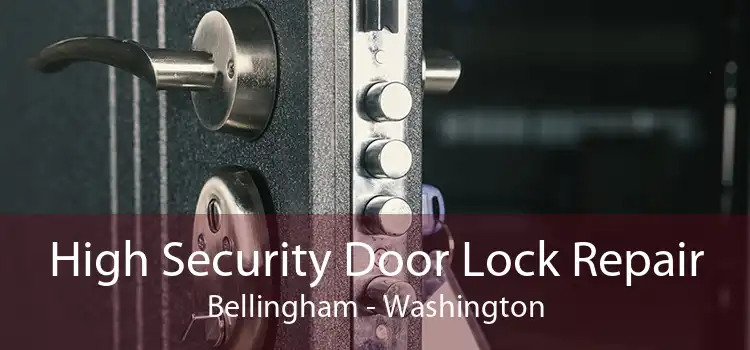 High Security Door Lock Repair Bellingham - Washington