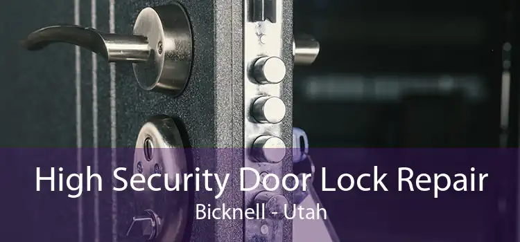 High Security Door Lock Repair Bicknell - Utah
