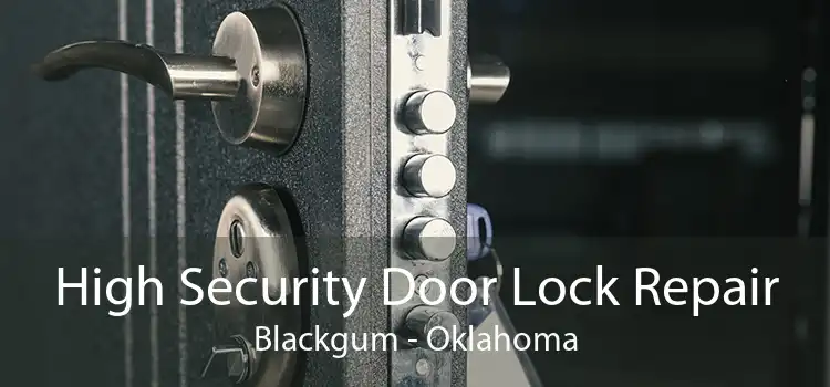 High Security Door Lock Repair Blackgum - Oklahoma
