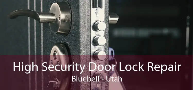 High Security Door Lock Repair Bluebell - Utah