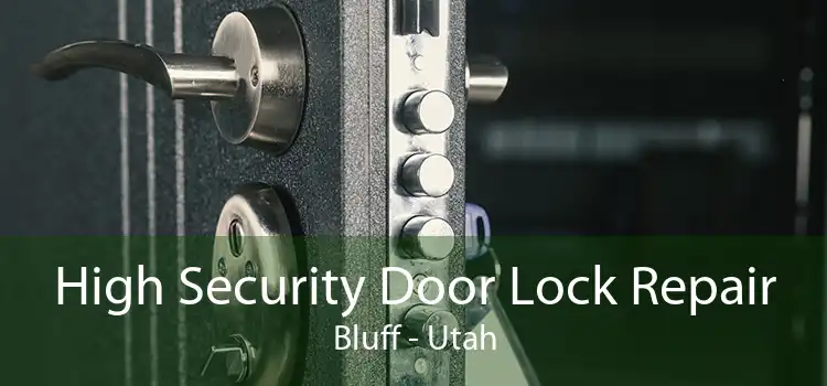 High Security Door Lock Repair Bluff - Utah