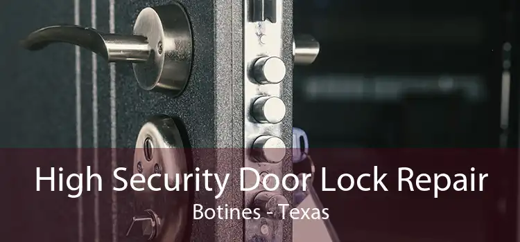 High Security Door Lock Repair Botines - Texas
