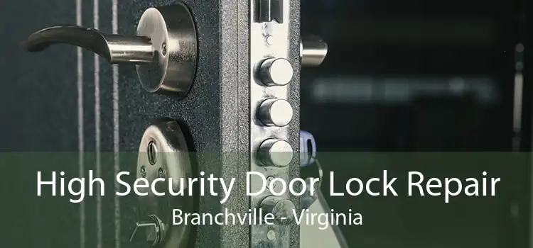 High Security Door Lock Repair Branchville - Virginia