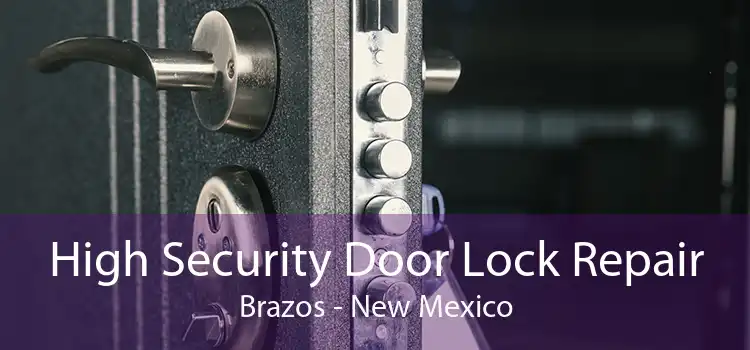 High Security Door Lock Repair Brazos - New Mexico