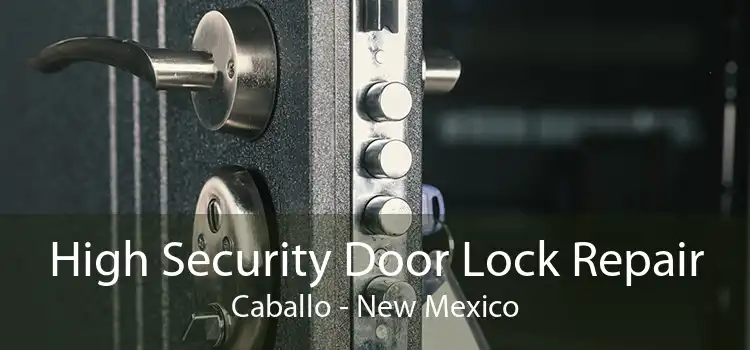 High Security Door Lock Repair Caballo - New Mexico